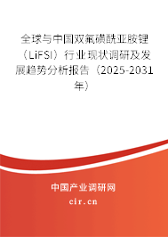 全球與中國雙氟磺酰亞胺鋰（LiFSI）行業(yè)現(xiàn)狀調(diào)研及發(fā)展趨勢分析報告（2025-2031年）
