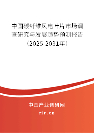 中國(guó)碳纖維風(fēng)電葉片市場(chǎng)調(diào)查研究與發(fā)展趨勢(shì)預(yù)測(cè)報(bào)告（2025-2031年）