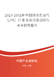 2025-2031年中國液化石油氣（LPG）行業(yè)發(fā)展深度調(diào)研與未來趨勢報告