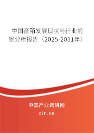 中國音箱發(fā)展現(xiàn)狀與行業(yè)前景分析報告（2025-2031年）