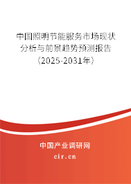 中國照明節(jié)能服務(wù)市場現(xiàn)狀分析與前景趨勢預(yù)測報(bào)告（2025-2031年）