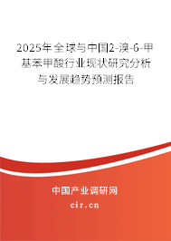 2025年全球與中國2-溴-6-甲基苯甲酸行業(yè)現(xiàn)狀研究分析與發(fā)展趨勢預(yù)測報告
