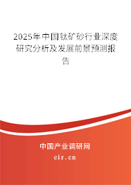 2025年中國鈦礦砂行業(yè)深度研究分析及發(fā)展前景預測報告