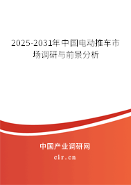 2024-2030年中國(guó)電動(dòng)推車市場(chǎng)調(diào)研與前景分析