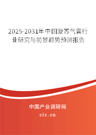 2025-2031年中國復(fù)蘇氣囊行業(yè)研究與前景趨勢預(yù)測報告
