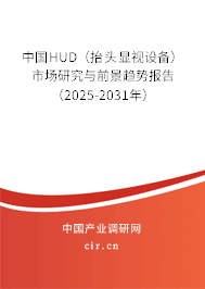 中國(guó)HUD（抬頭顯視設(shè)備）市場(chǎng)研究與前景趨勢(shì)報(bào)告（2025-2031年）