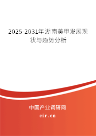 2025-2031年湖南美甲發(fā)展現(xiàn)狀與趨勢(shì)分析