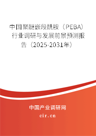 中國聚醚嵌段酰胺（PEBA）行業(yè)調(diào)研與發(fā)展前景預(yù)測(cè)報(bào)告（2025-2031年）