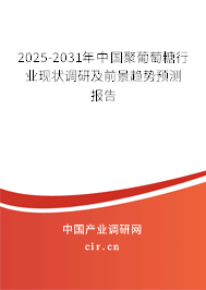2025-2031年中國(guó)聚葡萄糖行業(yè)現(xiàn)狀調(diào)研及前景趨勢(shì)預(yù)測(cè)報(bào)告