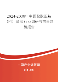 2024-2030年中國聚酰亞胺（PI）薄膜行業(yè)調(diào)研與前景趨勢報告