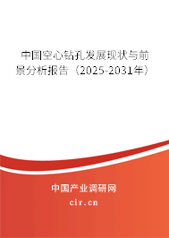 中國空心鉆孔發(fā)展現(xiàn)狀與前景分析報告（2025-2031年）