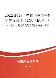 2022-2028年中國汽車電子控制單元管理（ECU / ECM）行業(yè)現(xiàn)狀及前景趨勢分析報告