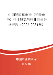 中國(guó)鉛酸蓄電池（鉛酸電池）行業(yè)研究與行業(yè)前景分析報(bào)告（2025-2031年）