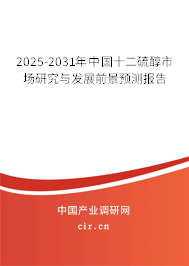 2025-2031年中國十二硫醇市場研究與發(fā)展前景預(yù)測報告