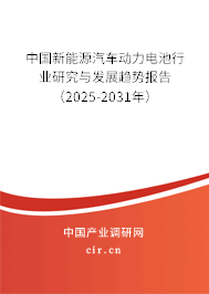 中國新能源汽車動力電池行業(yè)研究與發(fā)展趨勢報告（2025-2031年）