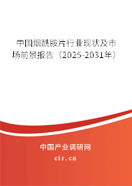中國煙酰胺片行業(yè)現(xiàn)狀及市場前景報(bào)告（2025-2031年）