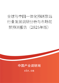 全球與中國一體化預(yù)制泵站行業(yè)發(fā)展調(diào)研分析與市場前景預(yù)測報告（2025年版）