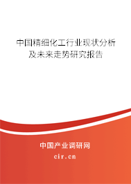 中國(guó)精細(xì)化工行業(yè)現(xiàn)狀分析及未來(lái)走勢(shì)研究報(bào)告