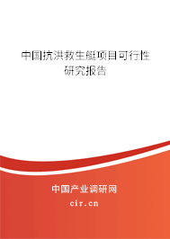 中國抗洪救生艇項目可行性研究報告