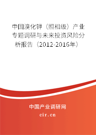 中國溴化鉀（照相級）產(chǎn)業(yè)專題調(diào)研與未來投資風險分析報告（2012-2016年）