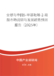 全球與中國5-甲基吡嗪-2-羧酸市場(chǎng)調(diào)研與發(fā)展趨勢(shì)預(yù)測(cè)報(bào)告（2025年）
