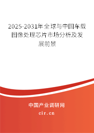 2025-2031年全球與中國車載圖像處理芯片市場分析及發(fā)展前景