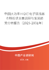 中國大功率HID燈電子鎮(zhèn)流器市場現(xiàn)狀全面調研與發(fā)展趨勢分析報告（2025-2031年）