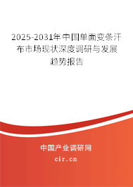 2025-2031年中國(guó)單面變條汗布市場(chǎng)現(xiàn)狀深度調(diào)研與發(fā)展趨勢(shì)報(bào)告