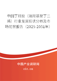 中國丁羥膠（端羥基聚丁二烯）行業(yè)發(fā)展現(xiàn)狀分析及市場前景報告（2025-2031年）