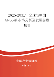 2025-2031年全球與中國GNSS板市場分析及發(fā)展前景報(bào)告