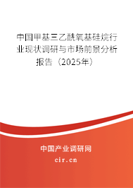 中國甲基三乙酰氧基硅烷行業(yè)現(xiàn)狀調研與市場前景分析報告（2025年）