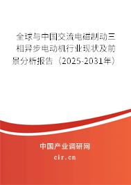 全球與中國交流電磁制動(dòng)三相異步電動(dòng)機(jī)行業(yè)現(xiàn)狀及前景分析報(bào)告（2025-2031年）