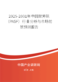 2025-2031年中國聚芳砜（PASF）行業(yè)分析與市場前景預測報告