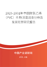 2025-2031年中國(guó)聚氯乙烯（PVC）市場(chǎng)深度調(diào)查分析及發(fā)展前景研究報(bào)告