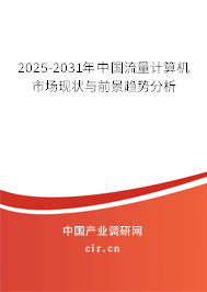 2025-2031年中國流量計(jì)算機(jī)市場現(xiàn)狀與前景趨勢分析