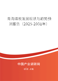青海煤炭發(fā)展現(xiàn)狀與趨勢(shì)預(yù)測(cè)報(bào)告（2025-2031年）