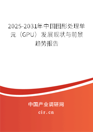 2025-2031年中國圖形處理單元（GPU）發(fā)展現(xiàn)狀與前景趨勢報告