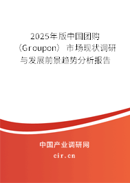2025年版中國團(tuán)購（Groupon）市場現(xiàn)狀調(diào)研與發(fā)展前景趨勢分析報告