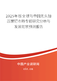 2025年版全球與中國無頭加壓螺釘市場專題研究分析與發(fā)展前景預(yù)測報告