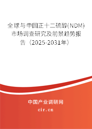 全球與中國正十二硫醇(NDM)市場調(diào)查研究及前景趨勢報(bào)告（2025-2031年）