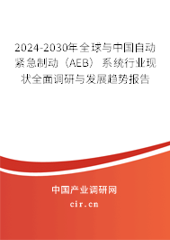 2024-2030年全球與中國自動緊急制動（AEB）系統(tǒng)行業(yè)現(xiàn)狀全面調(diào)研與發(fā)展趨勢報告