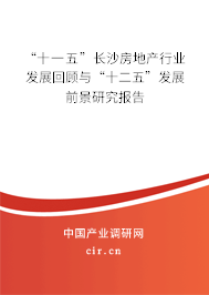 “十一五”長(zhǎng)沙房地產(chǎn)行業(yè)發(fā)展回顧與“十二五”發(fā)展前景研究報(bào)告