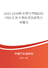 2025-2030年全球與中國(guó)10G-PON芯片市場(chǎng)現(xiàn)狀及趨勢(shì)分析報(bào)告