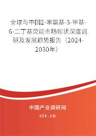 全球與中國2-苯氨基-3-甲基-6-二丁基熒烷市場現(xiàn)狀深度調(diào)研及發(fā)展趨勢報(bào)告（2024-2030年）