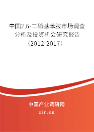 中國(guó)2,6-二硝基苯胺市場(chǎng)調(diào)查分析及投資機(jī)會(huì)研究報(bào)告（2012-2017）