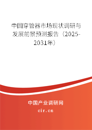 中國穿管器市場現(xiàn)狀調(diào)研與發(fā)展前景預(yù)測報告（2025-2031年）