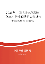 2025年中國地理信息系統(tǒng)（GIS）行業(yè)現(xiàn)狀研究分析與發(fā)展趨勢預測報告