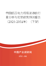 中國(guó)低壓電力線載波通信行業(yè)分析與前景趨勢(shì)預(yù)測(cè)報(bào)告（2025-2031年）（下架）