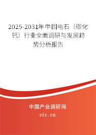 2025-2031年中國電石（碳化鈣）行業(yè)全面調(diào)研與發(fā)展趨勢分析報(bào)告