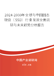 2024-2030年全球與中國(guó)固態(tài)硬盤（SSD）行業(yè)發(fā)展全面調(diào)研與未來趨勢(shì)分析報(bào)告